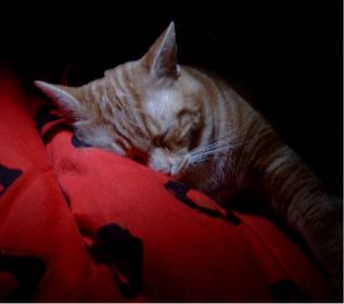 Prinz Valium modelt 04 (der Digge)