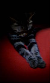 Kleopatra modelt 01 (Poki)