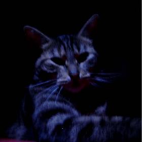 Kleopatra modelt 03 (Poki)