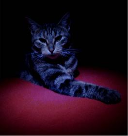 Kleopatra modelt 04 (Poki)