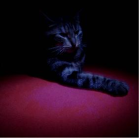 Kleopatra modelt 05 (Poki)