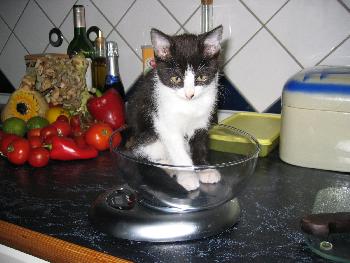 fenchurch: may I introduce... Fr�ulein Mi!