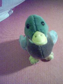 Entchen mit Quack-Ger�usch