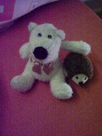 Temping Cozy und Schosch