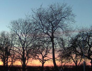 Sonnenuntergang im M�rz vom Garten aus