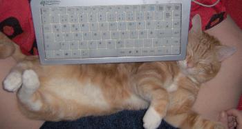 haariges zwischen den Beinen