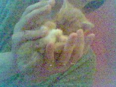 Prinz Valium, der Fresssack *g*