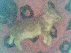 schlechte quali, aber s�ss :)