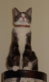 Dopy, unser Trottelchen, sieht man ihr nicht an, ist sie aber gewesen