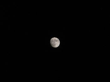 Moon taken by S5500 on 370mm. with 4megapixel sensor  : voller Bildausschnitt
