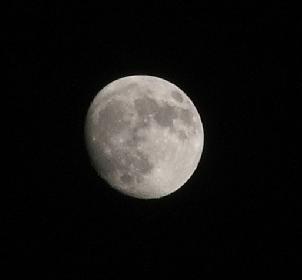 Moon taken by S5500 on 370mm. with 4megapixel sensor : angepasster Bildausschnitt