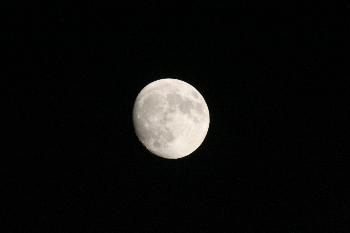Mond 1 (10.05.2006)