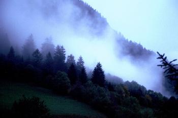 Nebel in einem bewaldeten Hang - sieht fast aus wie Rauch
