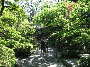 Sommerausflug in Japan - Garten 2