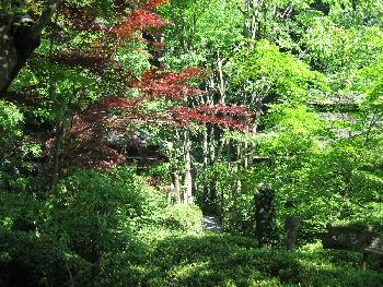 Sommerausflug in Japan - Garten 1