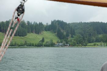 Alpsee 14 (nord-ost Ufer)