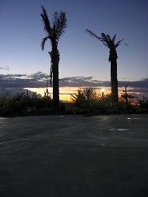 Sonnenaufgang hinter Palmen, Side