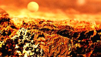 artos: MARS ODYSSEY  ( Detail von einer Baumrinde)