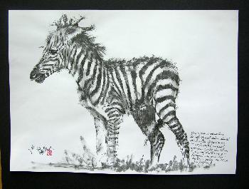 Portrait eines Neugeborenen (Zebras)