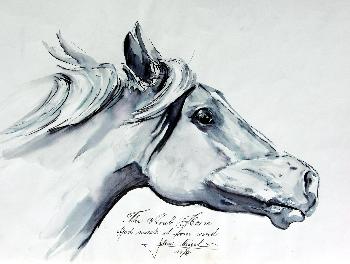 Arab Horse 02