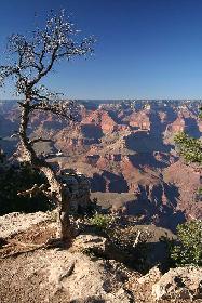SucheEhefrau: Grand Canyon Nationalpark
