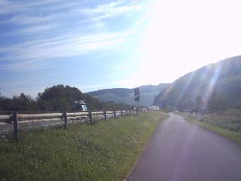 Moselradweg zwischenTrier und Trittenheim