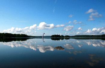 In den schwedischen Seen sollen unter den einzeitlichen Gletschern urzeitliche Lebewesen berlebt haben