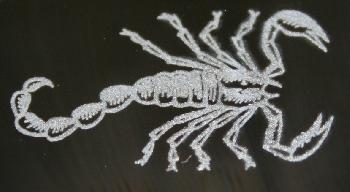 3 mm grosser Skorpion auf Onyx graviert