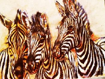 African Wild Life Zebras