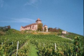 Burg lichtenberg