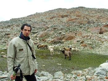 4. Ich, im Hintergrunde die Herde, Hhe ca. 2900m