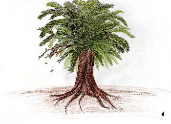 Lebensbaum